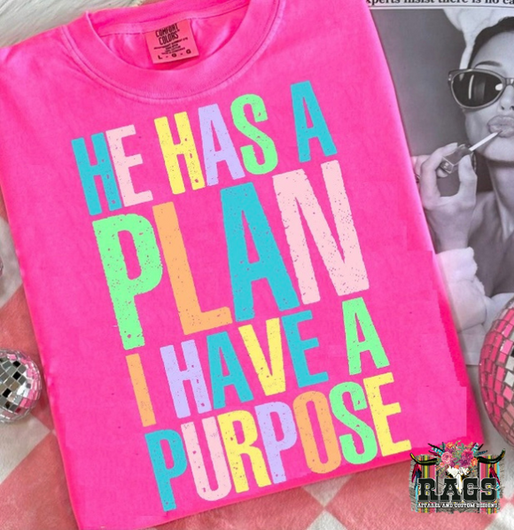He Has A Plan Comfort Color Tee
